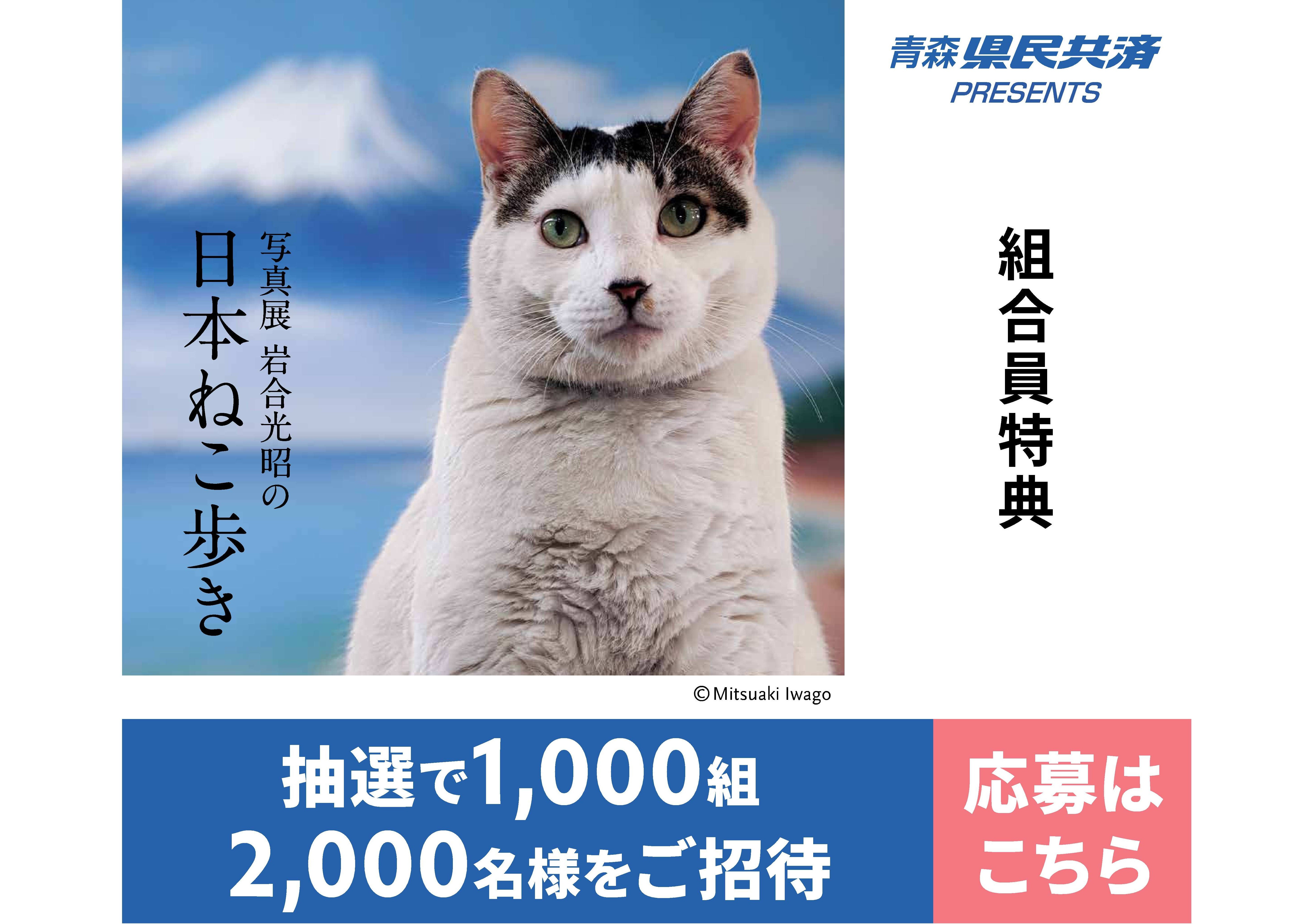 写真展　岩合光昭の日本ねこ歩き
【抽選でペア1,000組 2,000名様をご招待！】